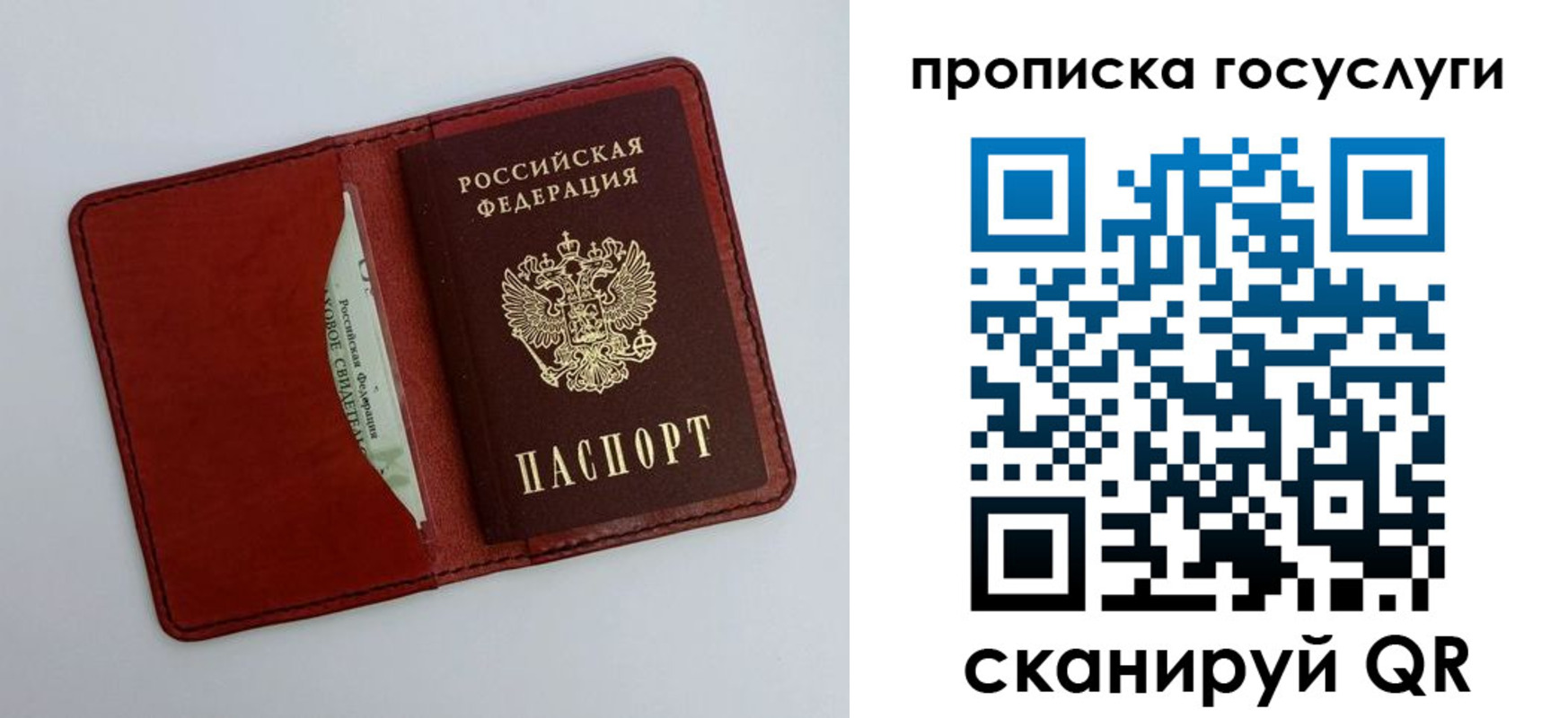 прописка паспорт в Брянской области